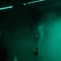 IMG 5061