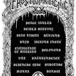 Frost Punx Picnic XX 13.02 .2026 Mülheim an der Ruhr Wo: autonomes zentrum (AZ) (AZ)